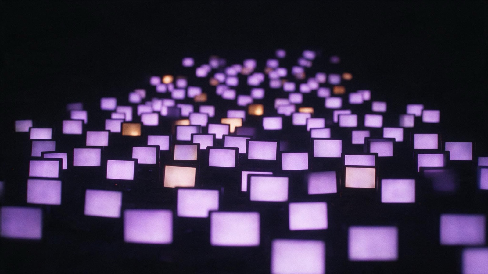 3.6 Million People Just Discovered Lavender Marriages. Here's What They Got Wrong.